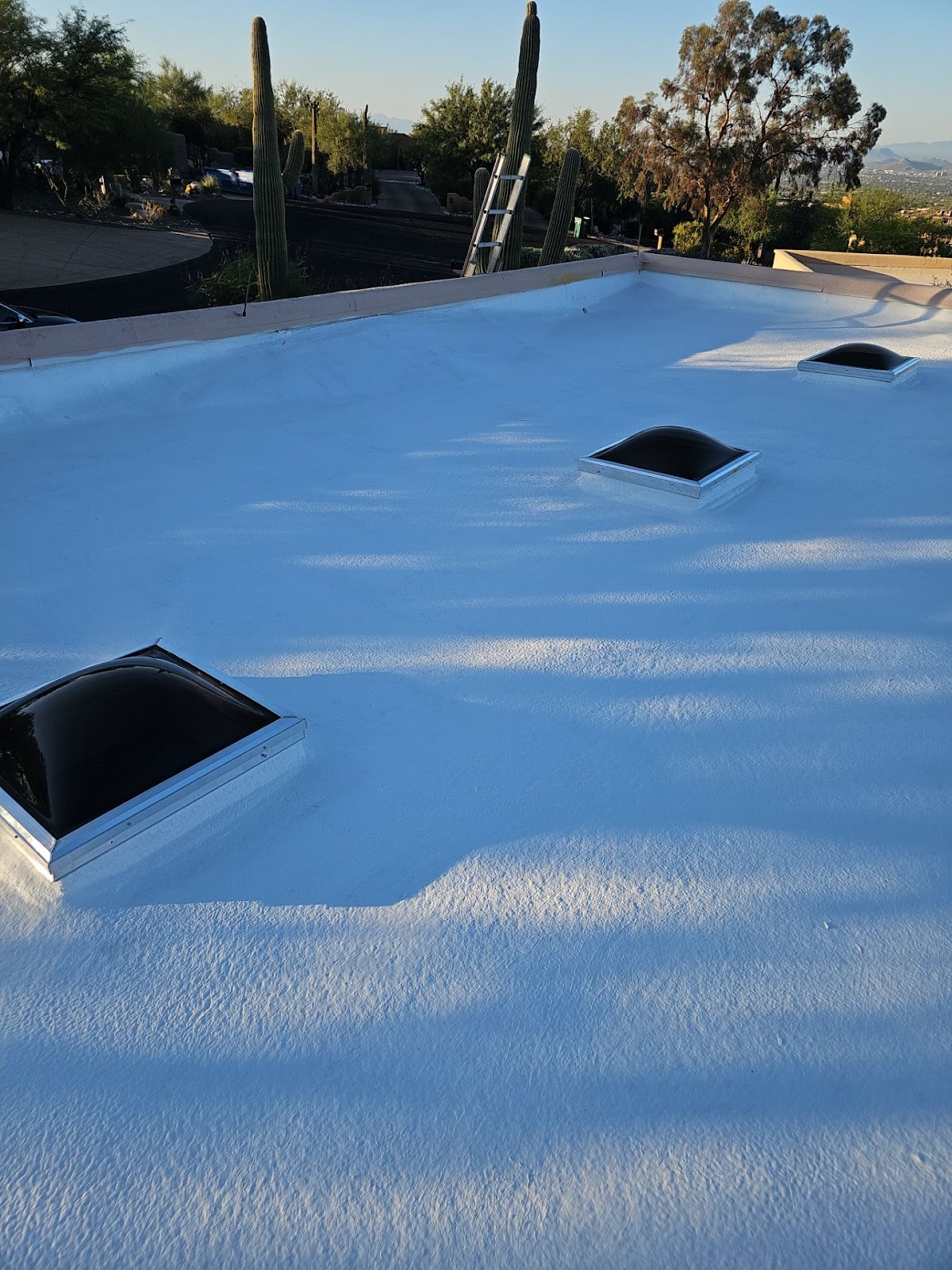 Lyons Roofing screenshot 3