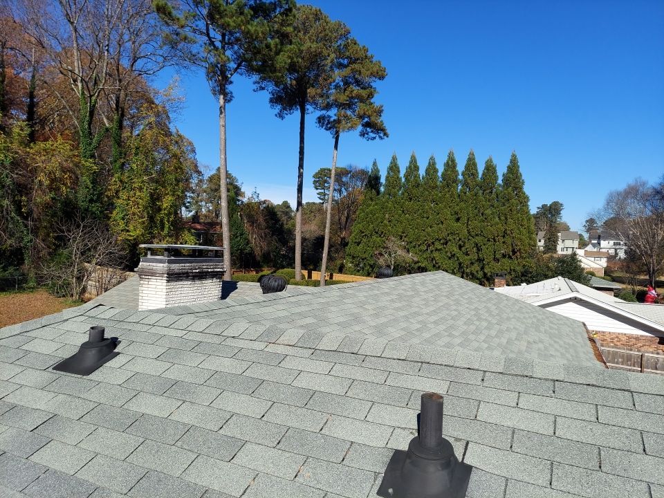 Colony Roofers screenshot 3