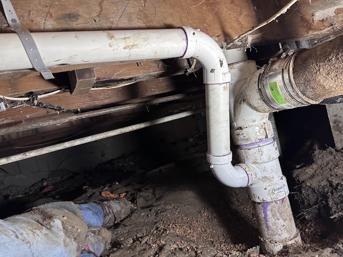 Professional Plumbers Denver screenshot 3
