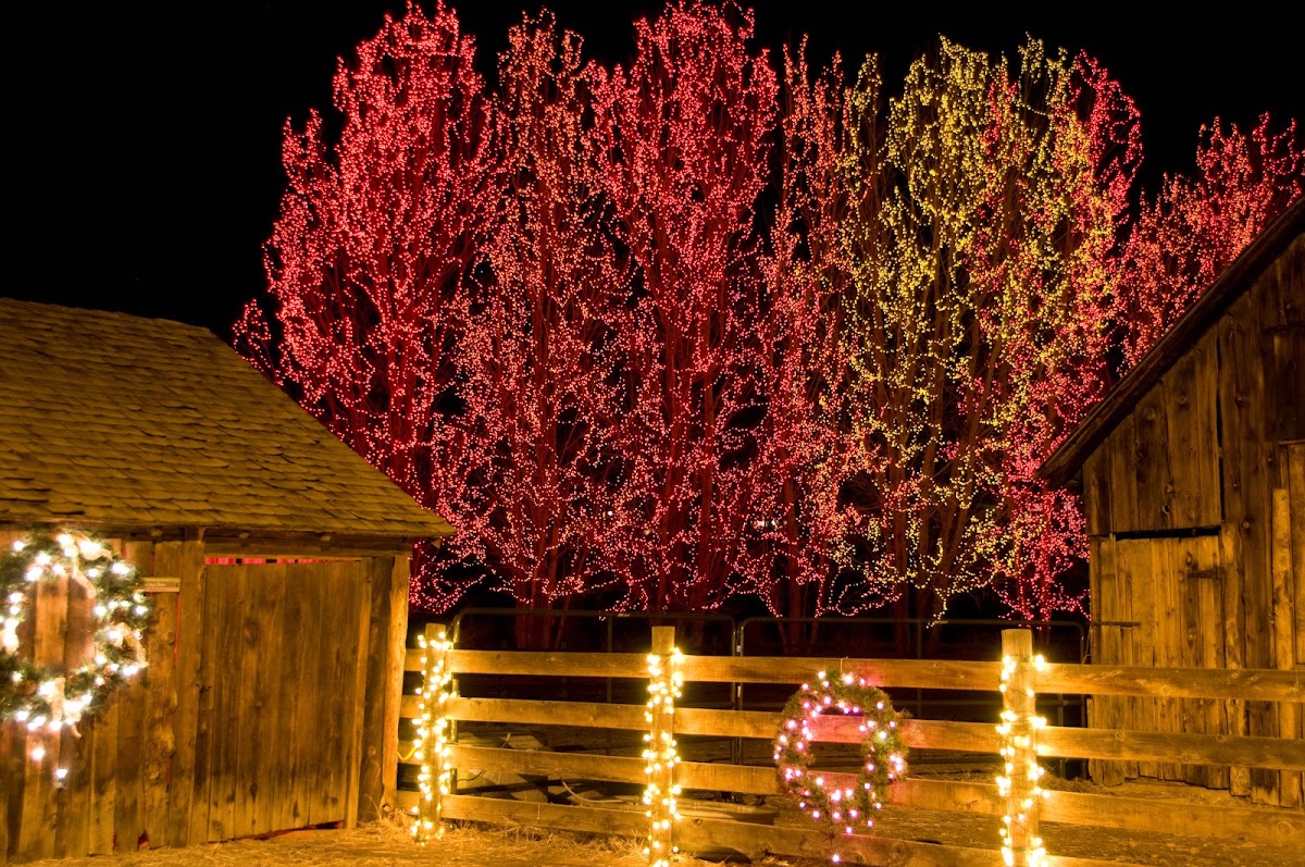 A Cut Above Landscape screenshot 3