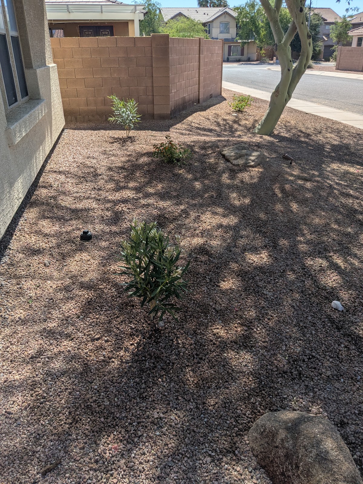 AMS Landscaping screenshot 2