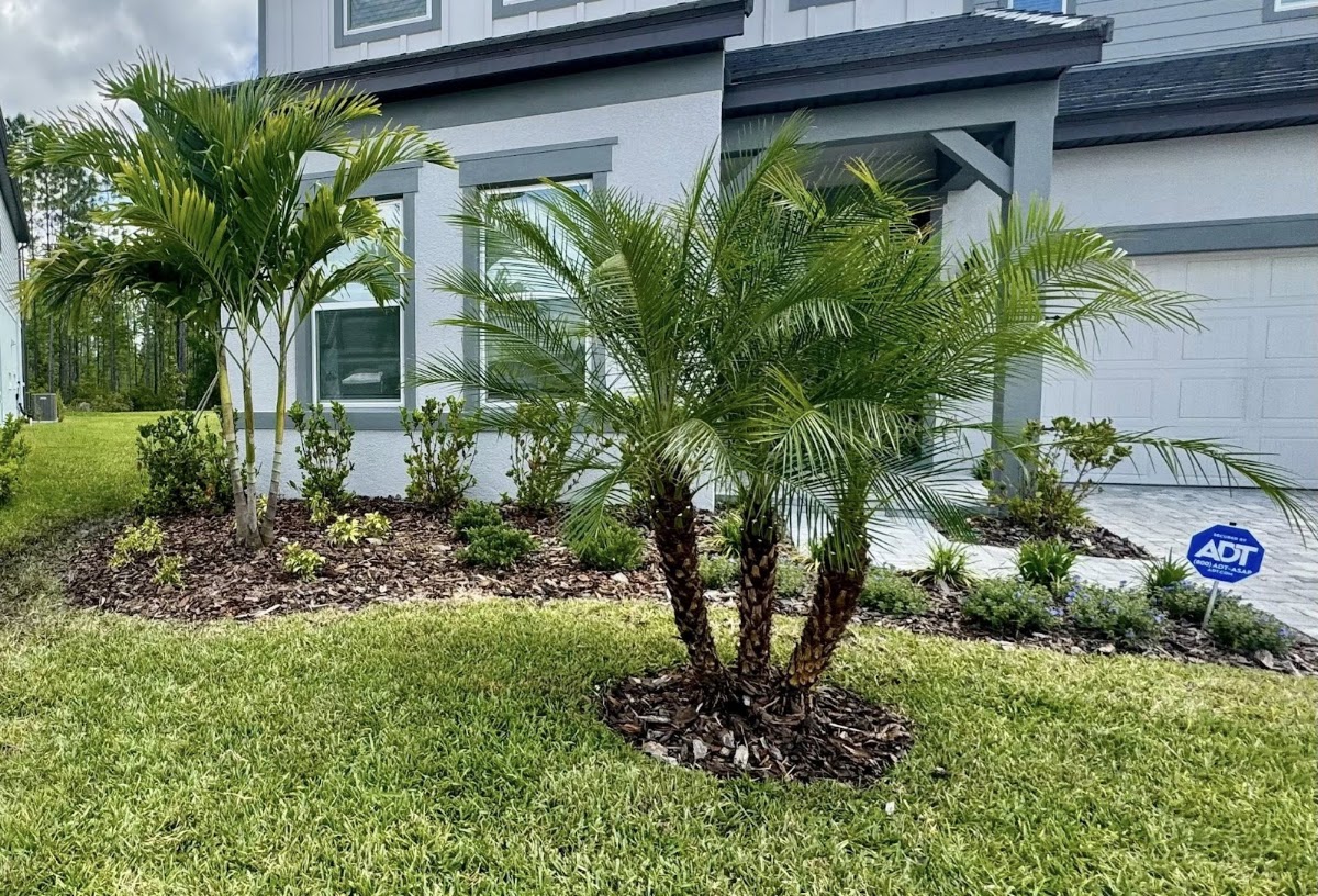 Tampa landscape solutions screenshot 3