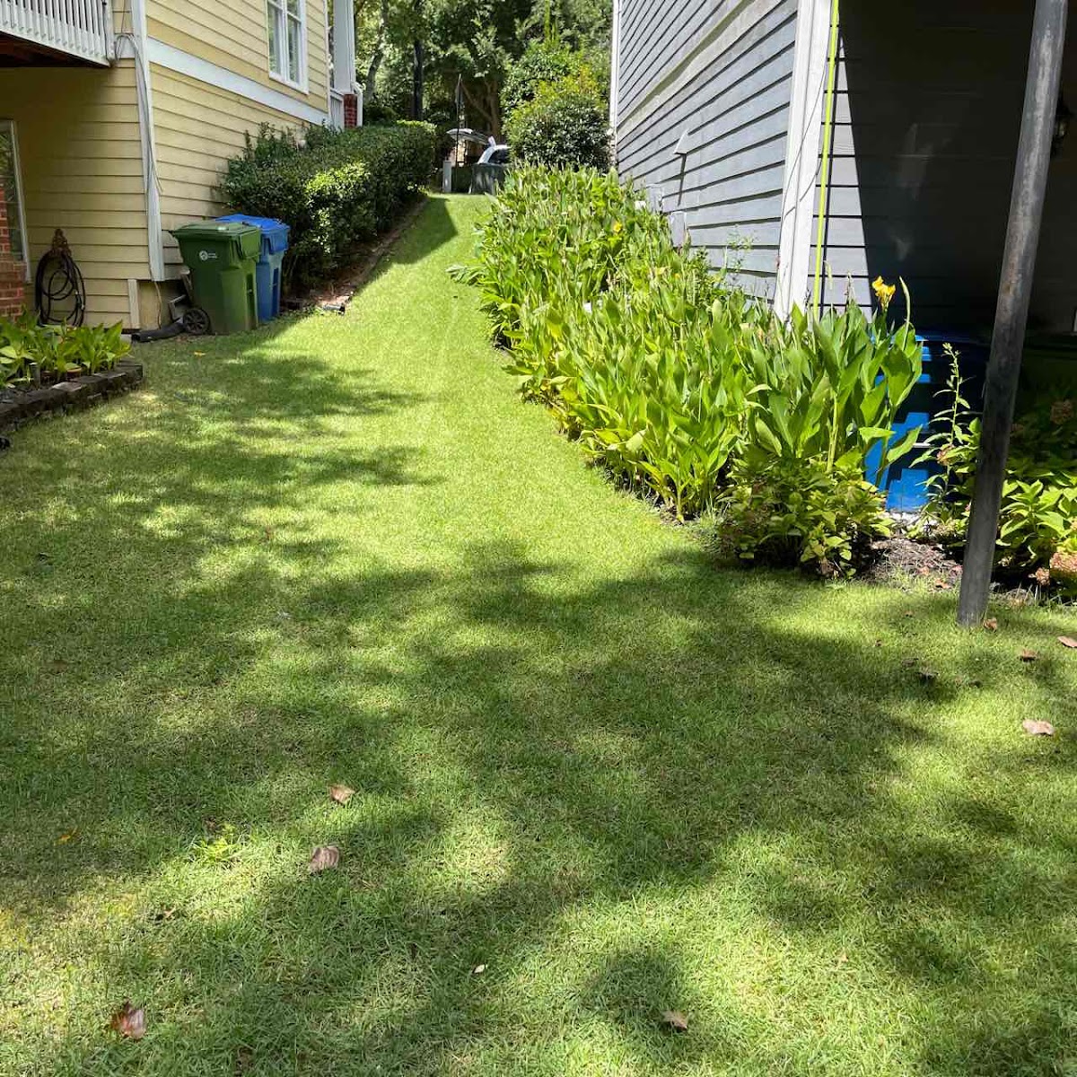 LawnStarter screenshot 2