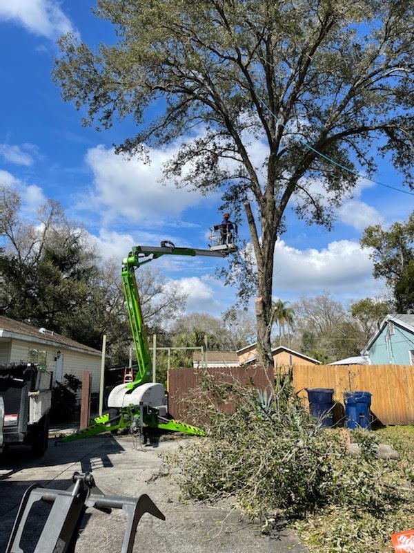 Albert & Ellis Landscaping & Tree Service screenshot 2