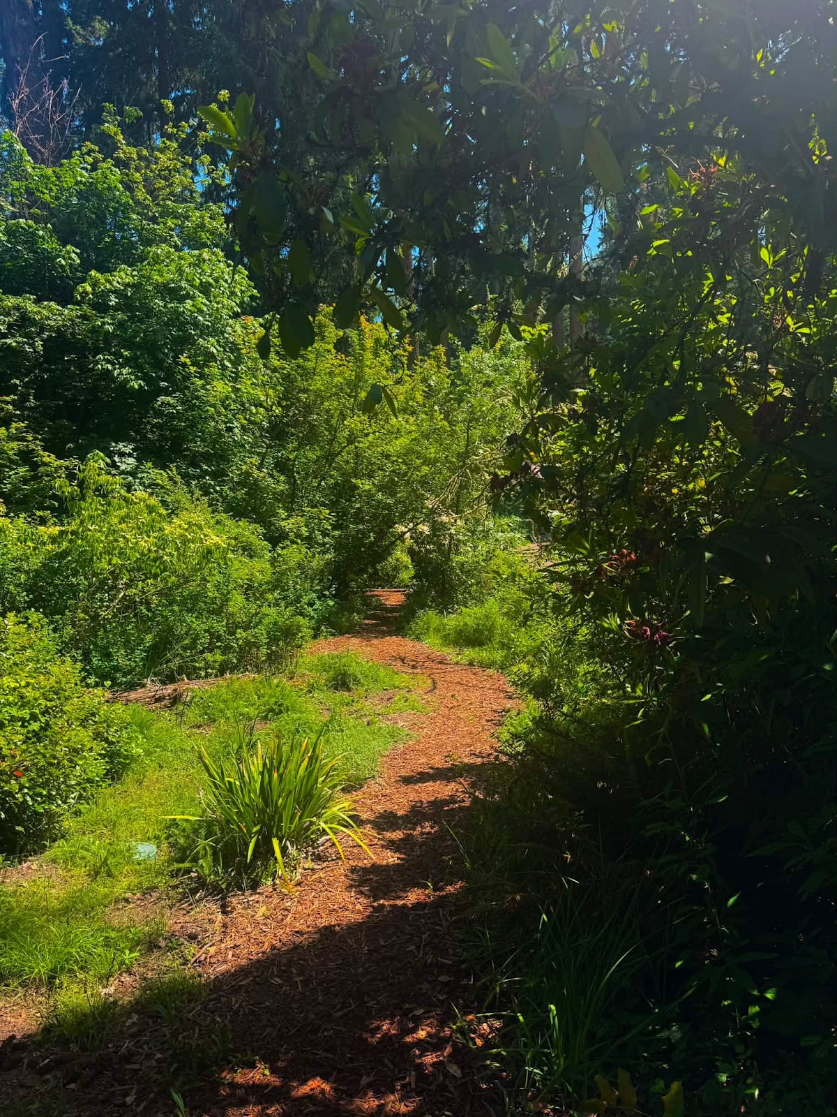 Reliable Landscaping Atlanta screenshot 2