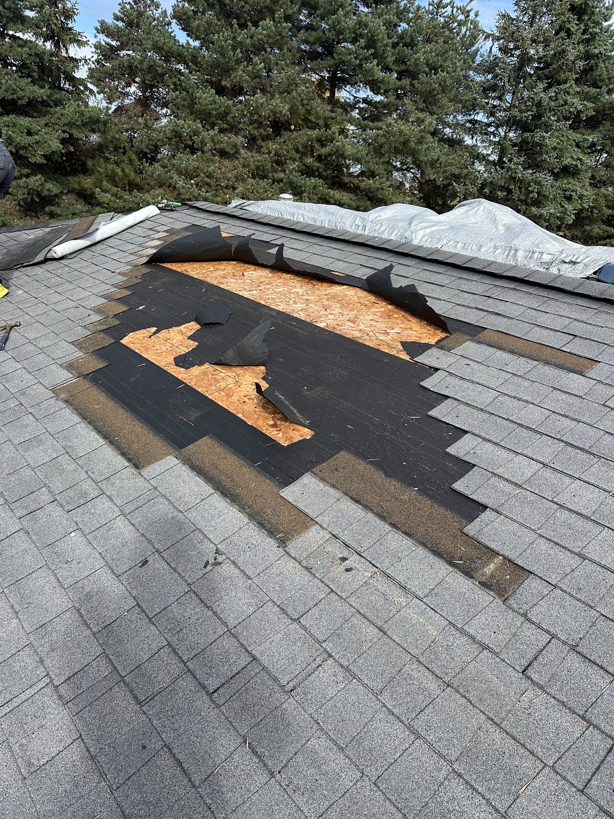 Tampa Roof Repair LLC screenshot 2