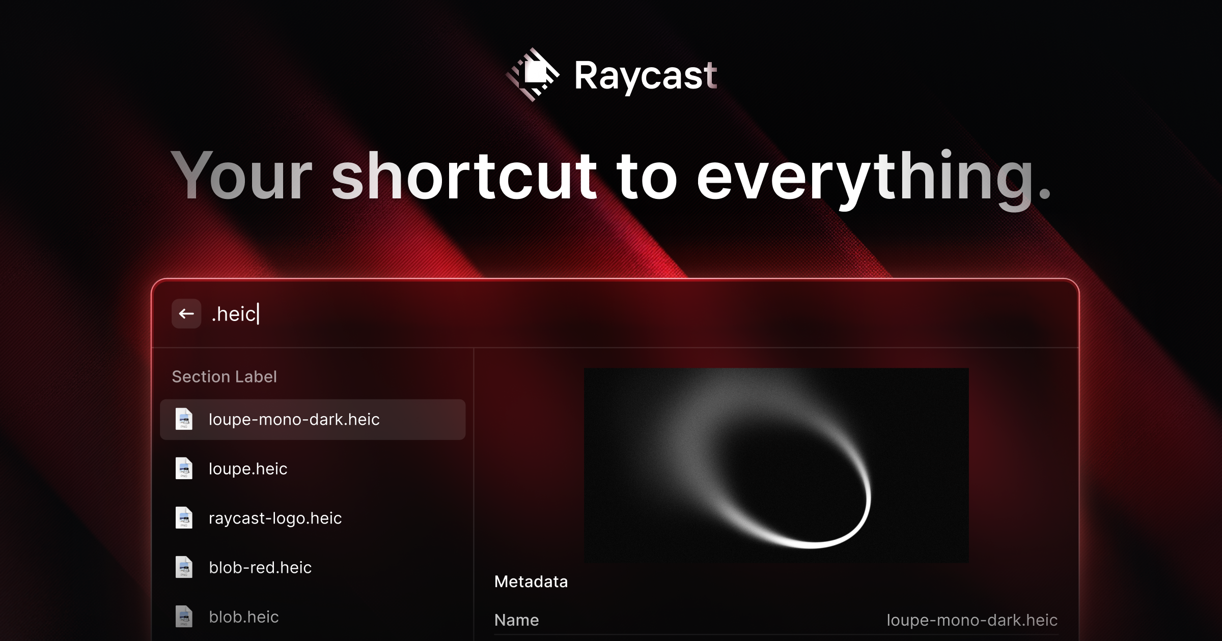 Raycast cover